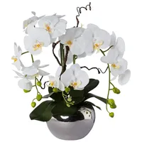 Creativ green Creativ-green Kunstblume Orchidee, Phalaenopsis, weiß, Real Touch