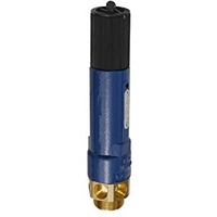 Riegler Hochleistungs-Sicherheitsventil, MS, G 1 1/2, Ansprechdruck 2 bar,