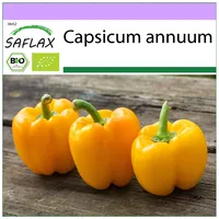 SAFLAX - BIO - Paprika - Golden California Wonder