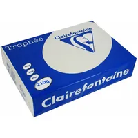 Clairefontaine Multifunktionspapier Trophée, A4, stahlgrau