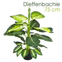 Decovego Kunstpflanze Künstliche Pflanze 75 cm Kunstblume Innendekoration Kunst