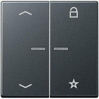 Jung eNet Funk-Steuertaste FM A 1701 BFP ANM