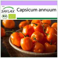 SAFLAX - BIO - Chili Habanero Orange - 20