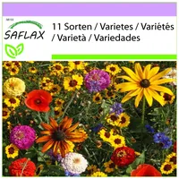 SAFLAX - Wildblumen: Kinderspaß - 1000 Samen - 11