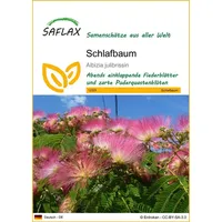 SAFLAX - Schlafbaum - 50 Samen - Albizia julibrissin