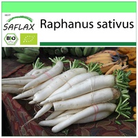 SAFLAX - BIO - Rettich - Japanischer Daikon -