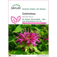 SAFLAX - Kräuter - Goldmelisse - 20 Samen -