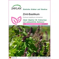 SAFLAX Zimt-Basilikum Kräutersamen Ocimum basilicum 50 Samen