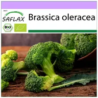 SAFLAX - BIO - Broccoli - Calabrese - 100