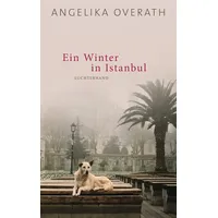 Luchterhand Ein Winter in Istanbul