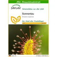 SAFLAX - Sonnentau - 200 Samen - Mit keimfreiem