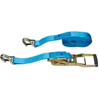 E/D/E Langhebel-Zurrgurt 50mm 10m 5T PS-Haken