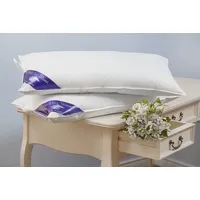 Welt der Träume Daunenkissen 40 x 80 cm Weiß