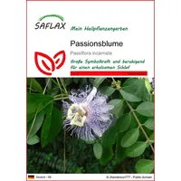 SAFLAX - Heilpflanzen - Passionsblume - 5 Samen -