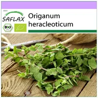 SAFLAX - BIO - Oregano - 1500 Samen -