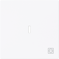 Busch-Jaeger Wippe mit Symbol Stecker 1789 ST-44G