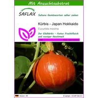 SAFLAX - Kürbis - Japan Hokkaido - 10 Samen