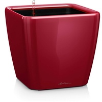 LECHUZA Quadro LS 50 Komplettset 50 x 50 x