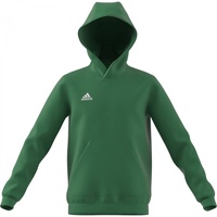 Adidas Entrada 22 Sweat Hoodie Kinder - team green/white,