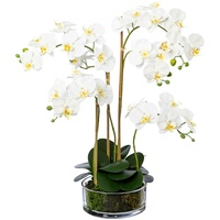 Creativ green Creativ-green Kunstblume Orchidee, Phalaenopsis, weiß, im Glas,