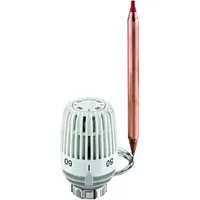HEIMEIER Thermostat-Kopf 6662-00.500 60-90 °C, weiß, Kapillarrohrlänge 2 m