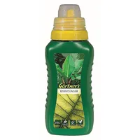 Gpi GmbH & Co. KG Eisendünger flüssig 0,25 l