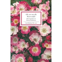 Insel Oh, wer um alle Rosen wüßte