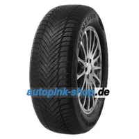 MINERVA Frostrack HP 205/65 R16 99H