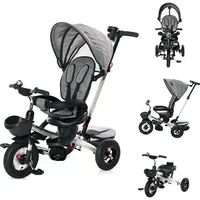 Lorelli Dreirad Zippy 3 in 1