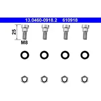 ATE Zubehörsatz, Scheibenbremsbelag 13.0460-0918.2 für MERCEDES-BENZ MB