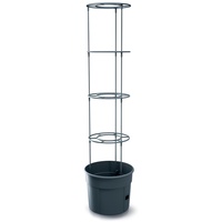 Prosperplast Tomatentopf Rankhilfe Anzuchttopf für Tomate Kunststoff 39,2 cm