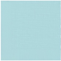 Duni Klassik Serviette 40x40 cm 1/4F. mint blue