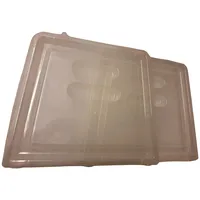 Noor Endkappen für Pfanztunnel Modul'o 60 79x59x50cm - 2er
