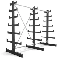 Stier Kragarmregal doppelseitig 2 Felder mit 6 absteigenden Ebenen