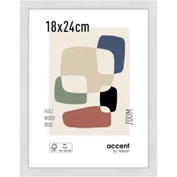 Accent by Nielsen Nielsen Zoom 18x24