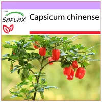 SAFLAX - Chili - Habanero Antilles Red - 10