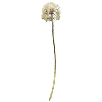Hti-Living Kunstblume Pusteblume Flora