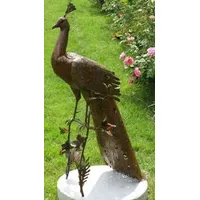 Casa Padrino Gartendeko Skulptur Pfau Rostfarben 50 x 75