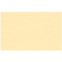 Ursus 3774610 - Fotokarton 300g/qm A4, VE=50 Blatt, chamois,