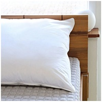 BettwarenShop Zirben - Daunen 3-Kammer-Kopfkissen 40 x 80 cm
