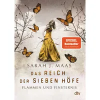 Dtv Flammen und Finsternis / Das Reich der sieben