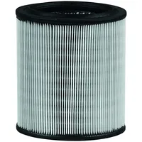 Mahle LX 715