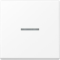 Jung eNet Funk-Steuertaste FM A, 1700 BF WWM