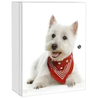 Banjado XXL Medizinschrank Abschliessbar 35x46x15cm Arzneischrank Weiß Aus Metall