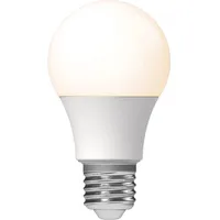 Shada LED's light LED SMD Leuchtmittel - Glühlampe A60,