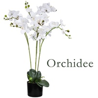 Decovego Künstliche Blumen Orchidee Orchideen Pflanzen Kunstpflanze Kunstblumen Künstlich