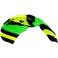 Wolkenstürmer Wolkenstürmer® Paraflex Sport 2-Leiner Lenkmatte 1.7 (grün) -