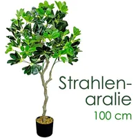 Decovego Schefflera Aralie Strahlenaralie Arboricola Kunstbaum Künstliche Pflanze 100