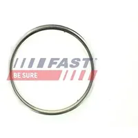 Fast Dichtung, Abgasrohr