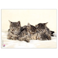 Veloflex Schreibtischunterlage Katzen Kunststoff 50,0 x 35,0 cm, 1